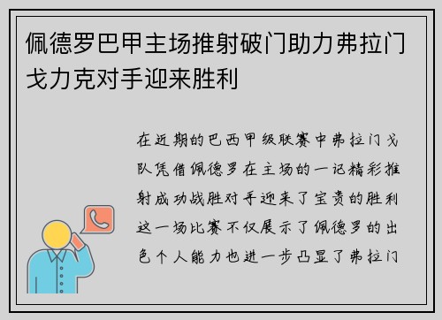 佩德罗巴甲主场推射破门助力弗拉门戈力克对手迎来胜利