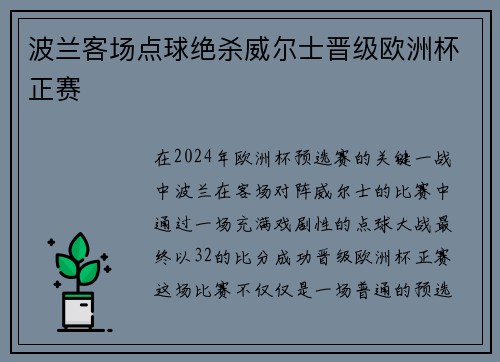 波兰客场点球绝杀威尔士晋级欧洲杯正赛